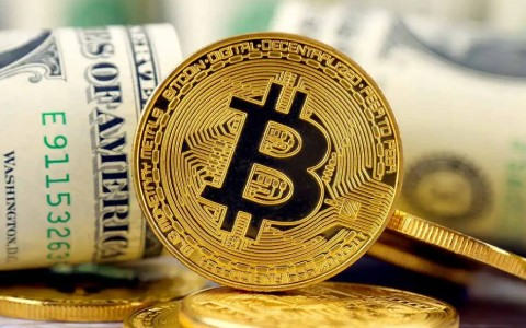 炒币软件-2024排行说明