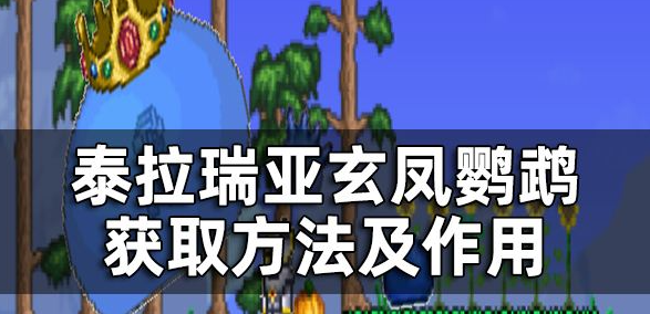 泰拉瑞亚玄凤鹦鹉怎么获得？玄凤鹦鹉有什么用处