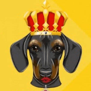 dog queen狗女皇币