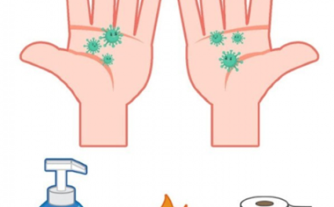 你的IQ有多高答案版下载-你的IQ有多高游戏0.1.1最新版下载