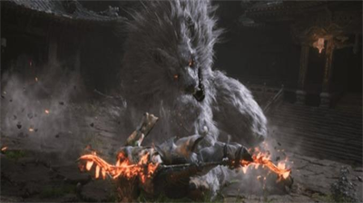 黑神话悟空炼药狗在哪里-黑神话悟空炼药狗位置分享