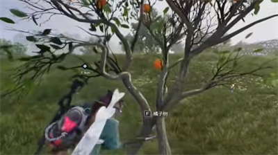 七日世界橘子在哪里采集-七日世界橘子位置一览