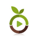 种子帝磁力搜索