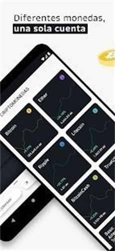 bitso交易所网站