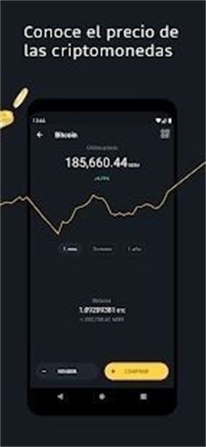 bitso交易所网站