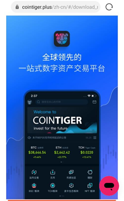 cointiger币虎