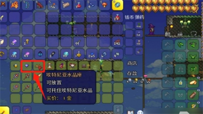 泰拉瑞亚如何获得护卫奖章