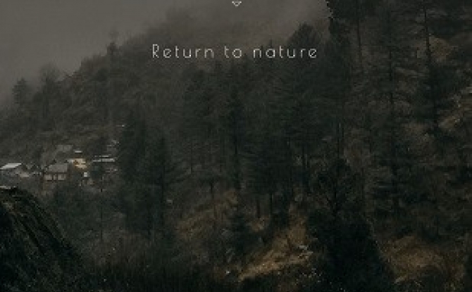 觅野camp app