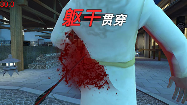 忍者的信条内购版