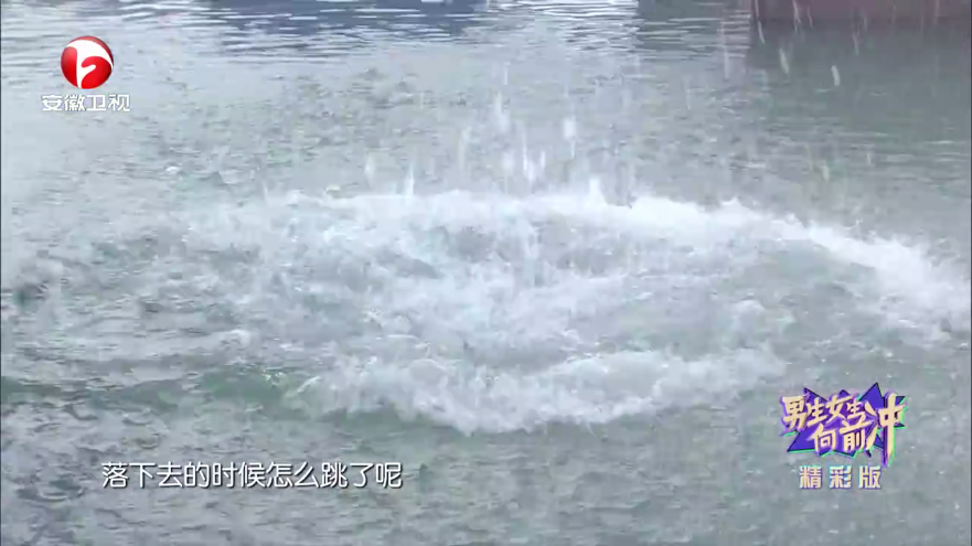 特狗tv电视版