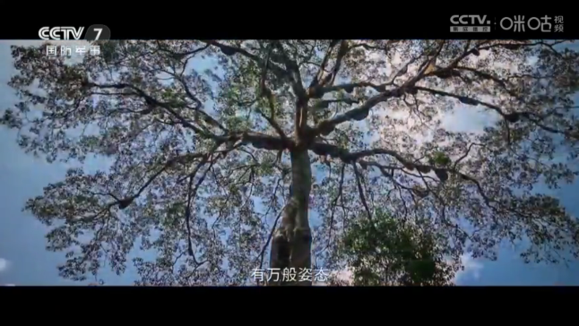 超秒电视直播tv电视版