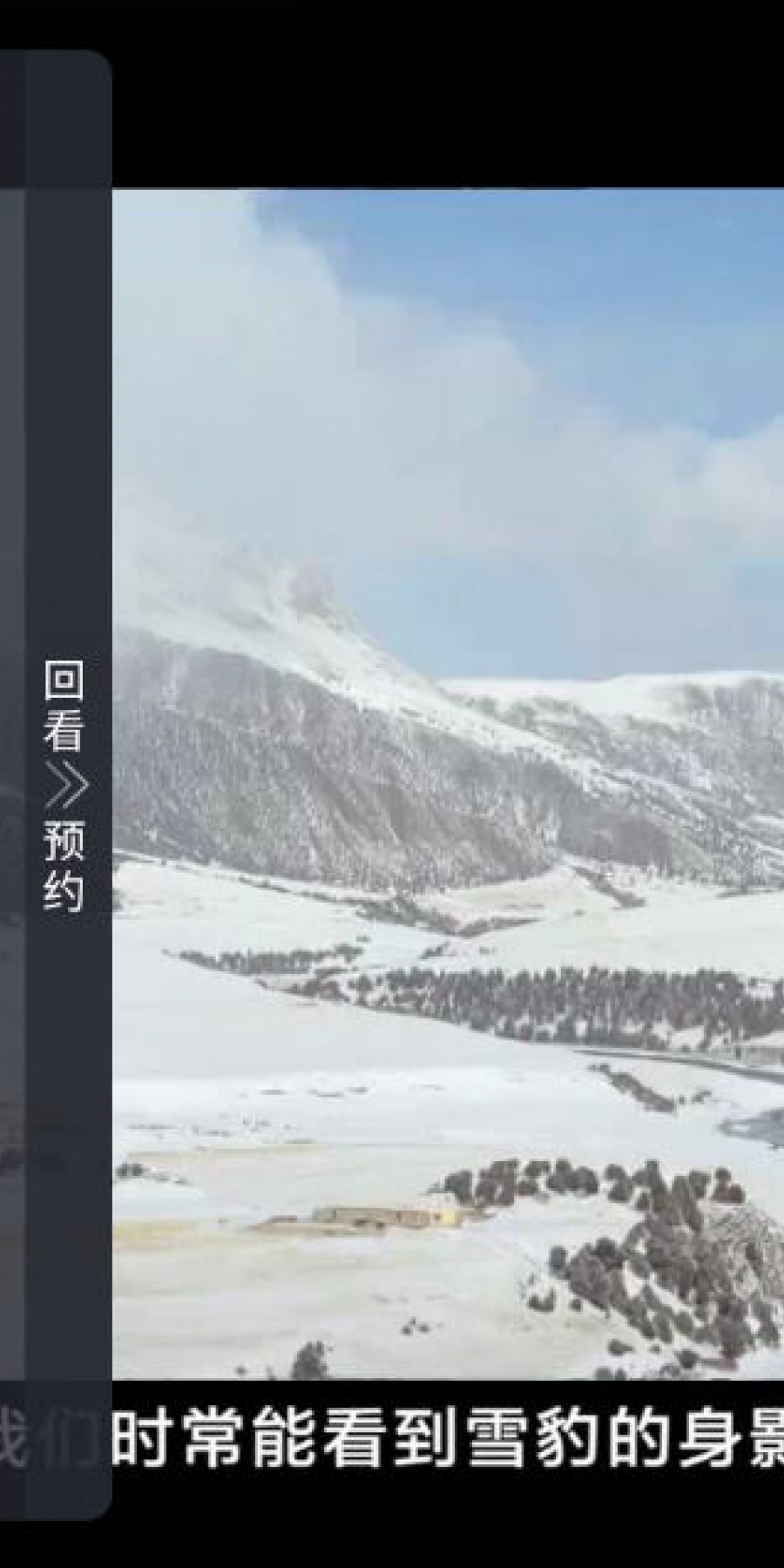 驼铃电视tv版最新版