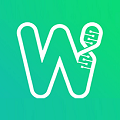 watt挖矿