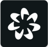 worldcoin