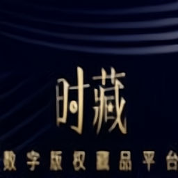 时藏数字藏品