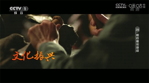 神鸟电视tv版