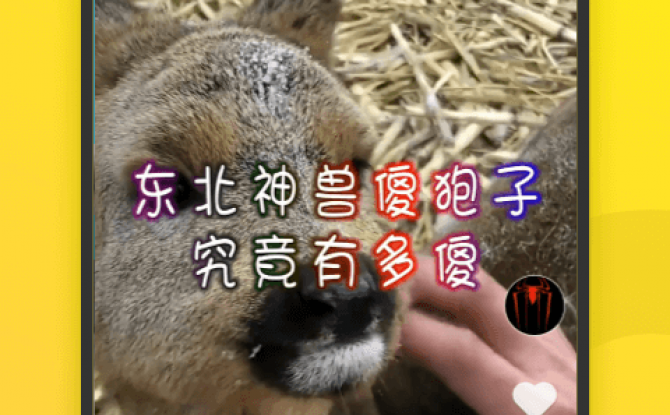 米瓜视频app最新版 1.1.2免费版