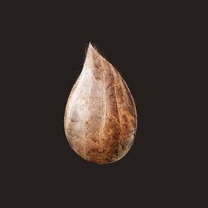 Mitoza游戏破解版下载