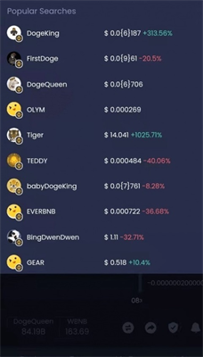 dogeking币合约地址