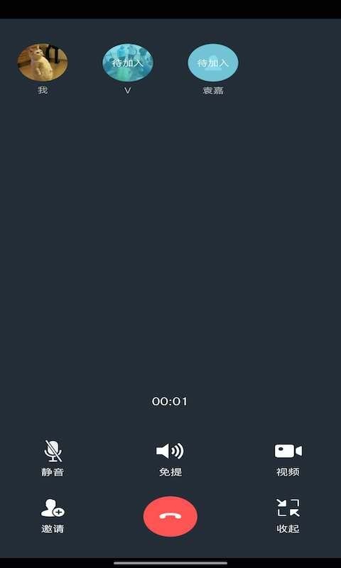 workplus专业版