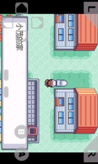 口袋妖怪火红随机版