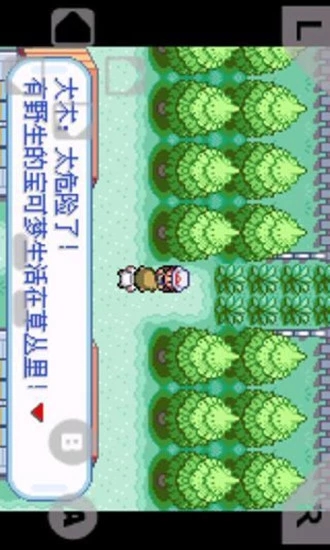 口袋妖怪火红随机版