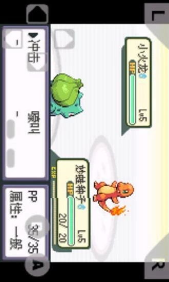 口袋妖怪火红随机版