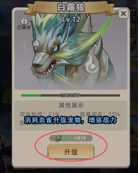 塞波尔国际服