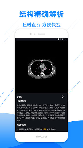 影像解剖图谱永久会员版