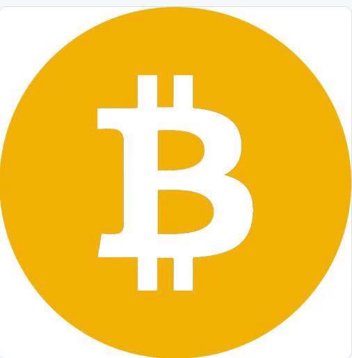 BSV(BitcoinSV)