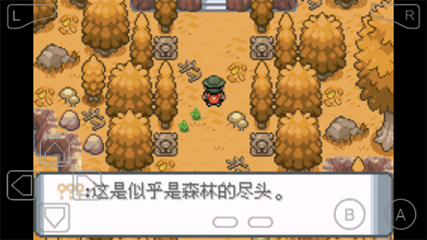 口袋妖怪登峰造极内置修改器