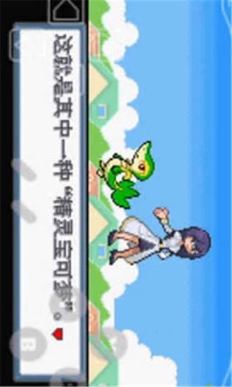 口袋妖怪白金光随机版