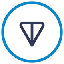 TON(Toncoin)