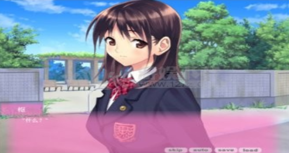 真实人生汉化版游戏